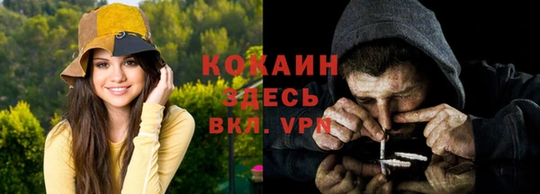 соль ск Алексин