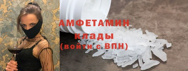 твердый Абаза