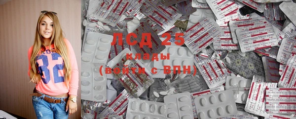 крисы Алзамай