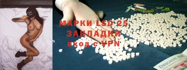 крисы Алзамай