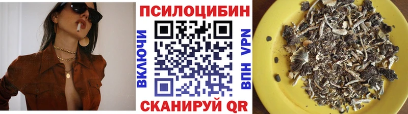 Псилоцибиновые грибы мицелий  Тула 