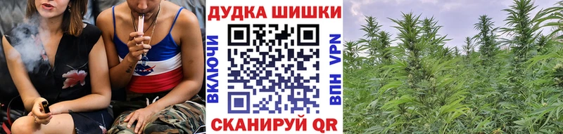 Конопля Amnesia  Тула 